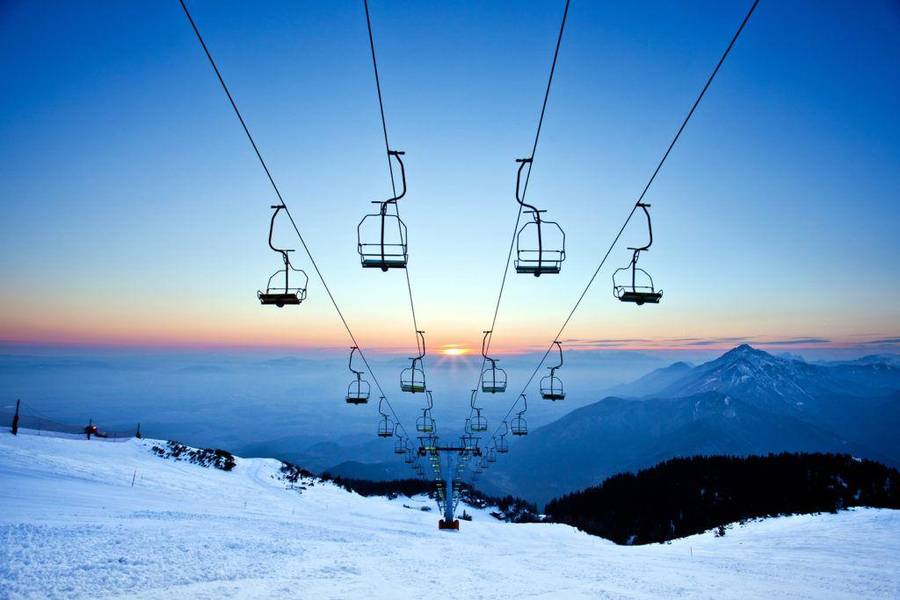 Auli