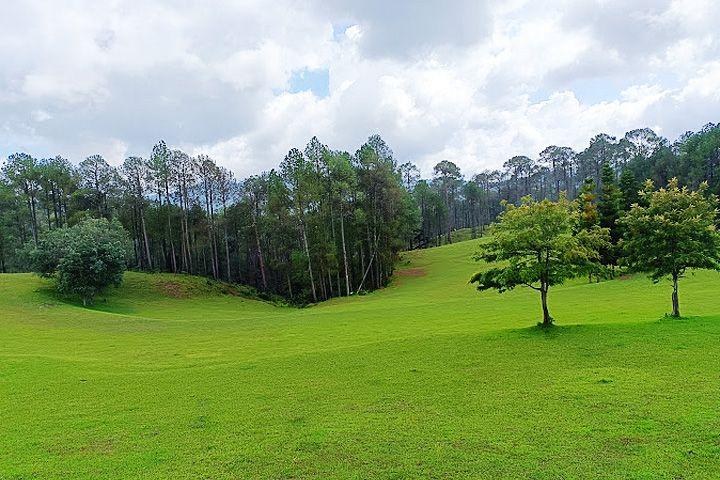 Pine-fringed meadows around Ranikhet