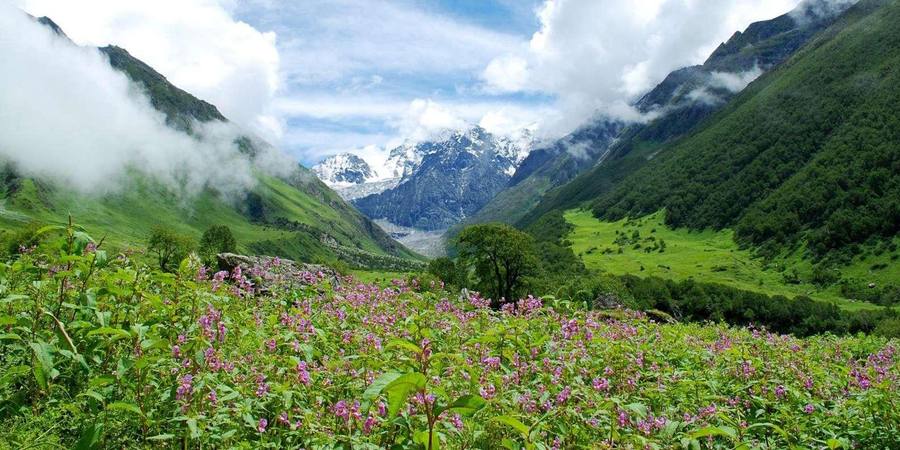 Valley of Flowers